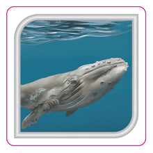 Load image into Gallery viewer, Spine Labels