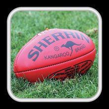 Load image into Gallery viewer, Spine Labels