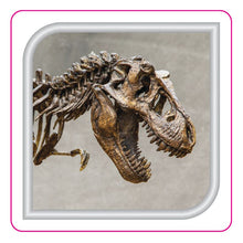 Load image into Gallery viewer, Spine Labels
